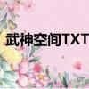 武神空間TXT下載 百度網盤（武神空間txt）