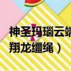 神圣瑪瑙云端翔龍韁繩多少錢（神圣瑪瑙云端翔龍韁繩）