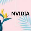 NVIDIA GeForce 9500 GT及以上