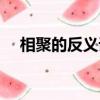 相聚的反義詞是離別嗎（相聚的反義詞）
