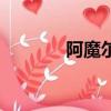 阿魔爾魔法學園（魔法學園）