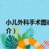 小兒外科手術圖譜與綱要（關于小兒外科手術圖譜與綱要簡介）
