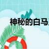 神秘的白馬王子是誰（神秘的白馬王子）