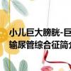 小兒巨大膀胱-巨大輸尿管綜合征（關于小兒巨大膀胱-巨大輸尿管綜合征簡介）
