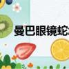 曼巴眼鏡蛇怎么充電（曼巴眼鏡蛇驅動）