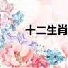 十二生肖r傳關于貓（十二生肖r傳）