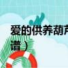 愛的供養葫蘆絲C調簡譜（愛的供養葫蘆絲簡譜）