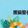 黑貓警長傳奇4（黑貓警長傳奇）