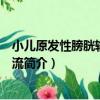 小兒原發性膀胱輸尿管反流（關于小兒原發性膀胱輸尿管反流簡介）