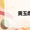 黃玉彪國際商貿城（黃玉彪）