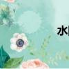 水團花盆景（水團花）
