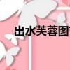 出水芙蓉圖藝術特色（出水芙蓉十字繡）