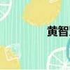 黃智賢廣州（金秀賢廣州）