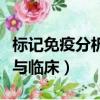 標記免疫分析與臨床雜志官網（標記免疫分析與臨床）