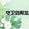 守衛劍閣龍威版趙云（守衛劍閣龍威版）