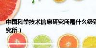 中國科學技術信息研究所是什么級別(中國科學技術信息研究所)