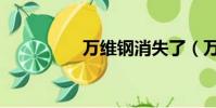 萬維鋼消失了(萬維鋼)