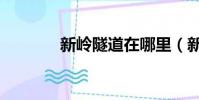 新嶺隧道在哪里(新嶺隧道)