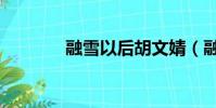 融雪以后胡文婧(融雪以后)