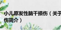 小兒原發性腦干損傷(關于小兒原發性腦干損傷簡介)