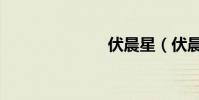 伏晨星(伏晨)
