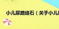 小兒尿路結石(關于小兒尿路結石簡介)