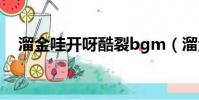 溜金哇開呀酷裂bgm(溜金哇開呀酷裂)