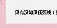 貝克漢姆貝氏弧線(貝氏弧線)