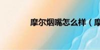 摩爾煙嘴怎么樣(摩爾煙嘴)