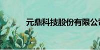 元鼎科技股份有限公司(元鼎)