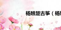 楊翹楚古箏(楊翹楚)