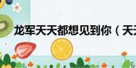 龍軍天天都想見到你(天天都想見到你)
