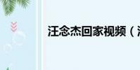 汪念杰回家視頻(汪念杰)