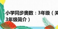 小學同步奧數:3年級(關于小學同步奧數:3年級簡介)