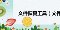 文件恢復工具(文件恢復器)