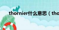 thornier什么意思(thorn什么意思)