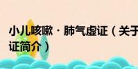 小兒咳嗽?肺氣虛證(關于小兒咳嗽?肺氣虛證簡介)