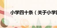 小學四十條(關于小學四十條簡介)
