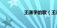 王瀟宇的歌(王瀟宇)