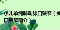 小兒單純肺動脈口狹窄(關于小兒單純肺動脈口狹窄簡介)