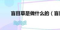盲目草是做什么的(盲目草哪里多)