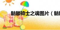 骷髏騎士之魂圖片(骷髏騎士之魂)