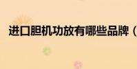 進口膽機功放有哪些品牌(進口膽機功放)
