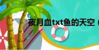夜月血txt魚的天空(夜月血)