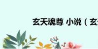玄天魂尊 小說(玄天魂尊)