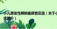 小兒原發性膀胱輸尿管反流(關于小兒原發性膀胱輸尿管反流簡介)