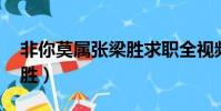 非你莫屬張梁勝求職全視頻(非你莫屬 張梁勝)
