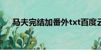 馬夫完結加番外txt百度云(馬夫番外)