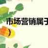 市場營銷屬于什么類型（市場營銷屬于什么類）