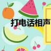 打電話相聲 五年級 臺詞（打電話 相聲）